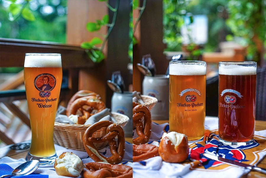 官网 文章 标准 尺寸