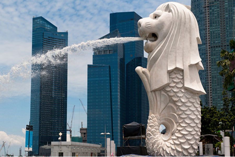 Produtos para o mercado de Singapura